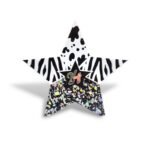 Funky Star | Charms