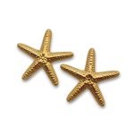 Oceanis Gold | Σκουλαρίκια 