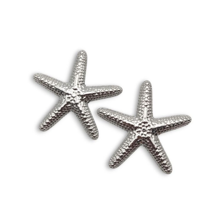 Oceanis Silver | Σκουλαρίκια