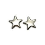 astar silver σκουλαρίκια ασημί αστέρι