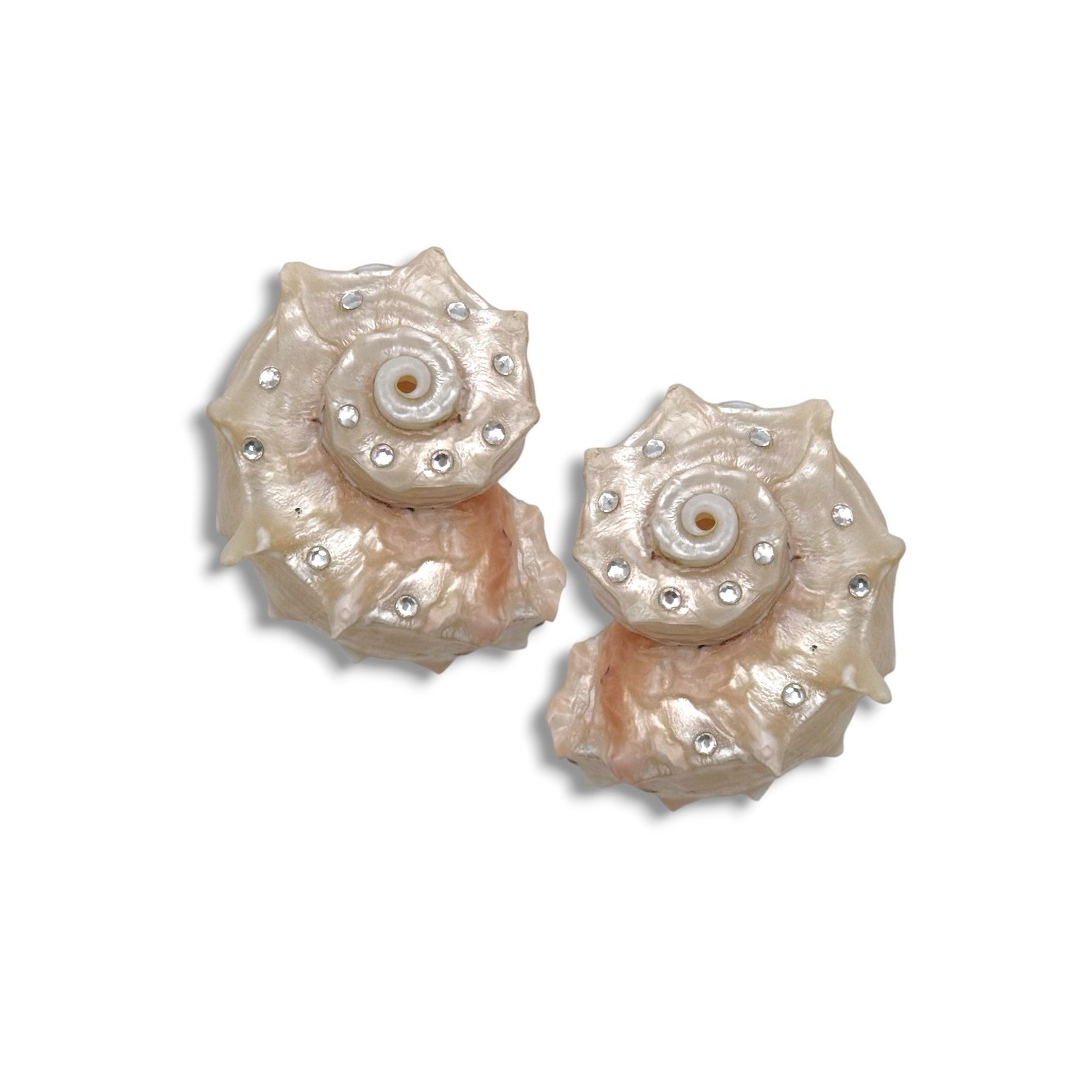 lost-atlantis-earrings-main.jpg Lost Atlantis Earrings σκουλαρίκια με murex shell