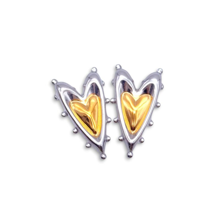 Vera Heart Mix δίχρωμα σκουλαρίκια καρδιά από ανοξείδωτο ατσάλι.